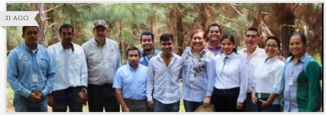 VISITA DE SEGUIMIENTO DE PROYECTO DE INVESTIGACIÓN A EMPRESA AGROFORESTAL UUMBAL VERACRUZ.