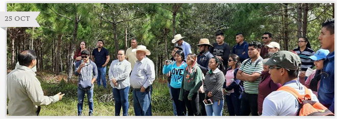 ALUMNOS Y DOCENTE DEL TECNOLÓGICO PARTICIPAN EN LA REUNIÓN NACIONAL DE INVESTIGACIÓN, INNOVACIÓN AGRÍCOLA, FORESTAL Y PECUARIA 2019 EN TUXTLA GUTIÉRREZ, CHIAPAS.