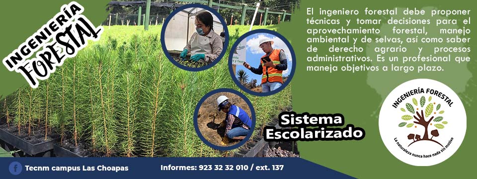Ingeniería Forestal